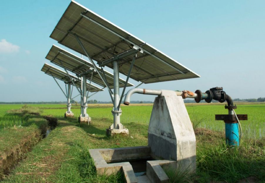 Solar Feeder Solarization